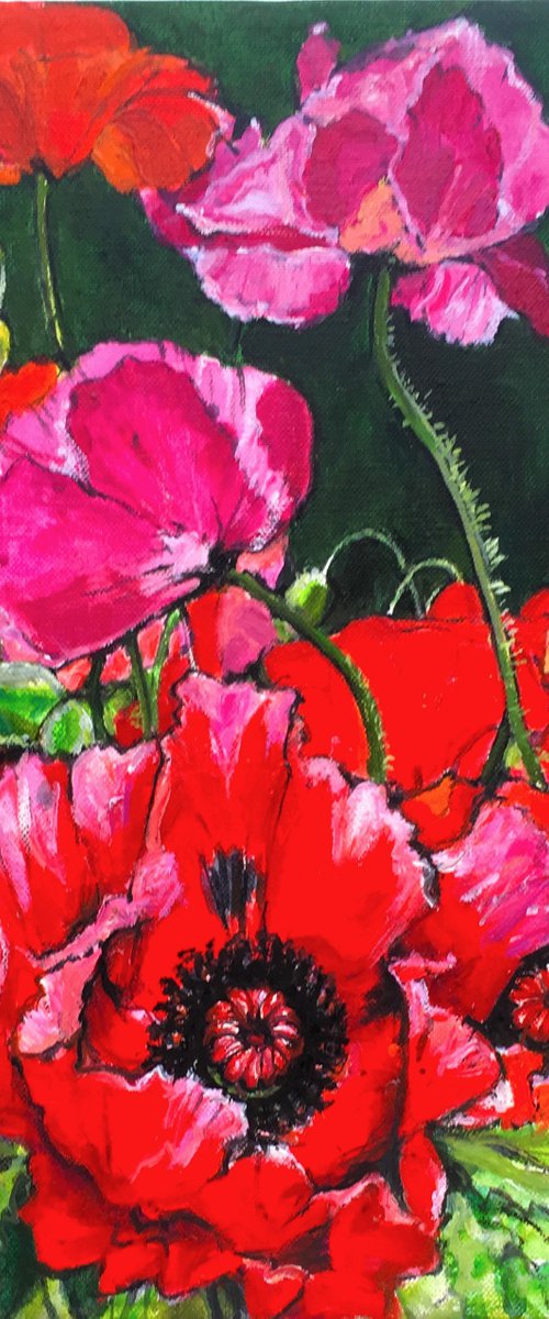 A HOST OF POPPIES by Patricia Clements