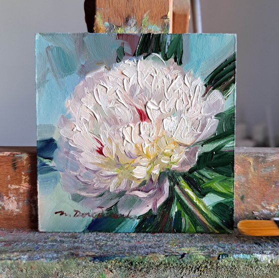 Unique peony