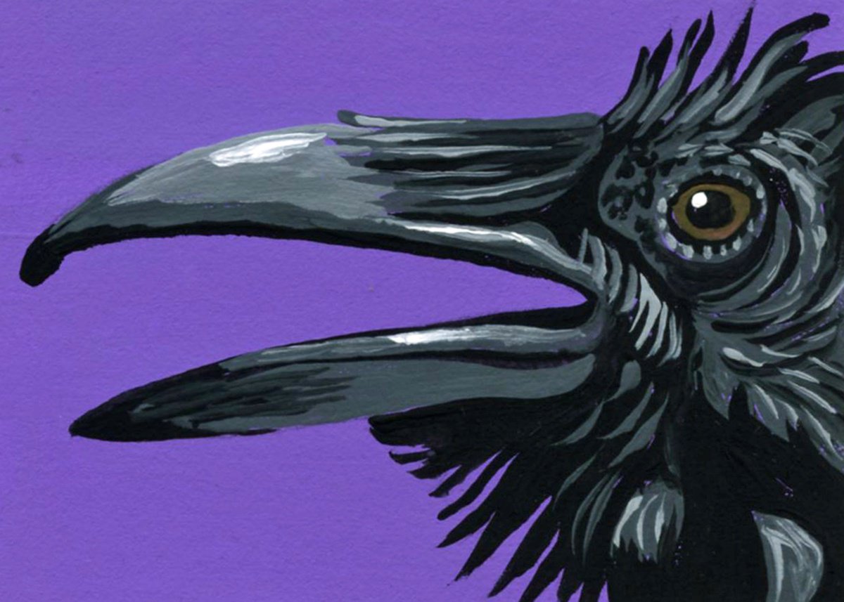 Crow Raven Bird by Carla Smale
