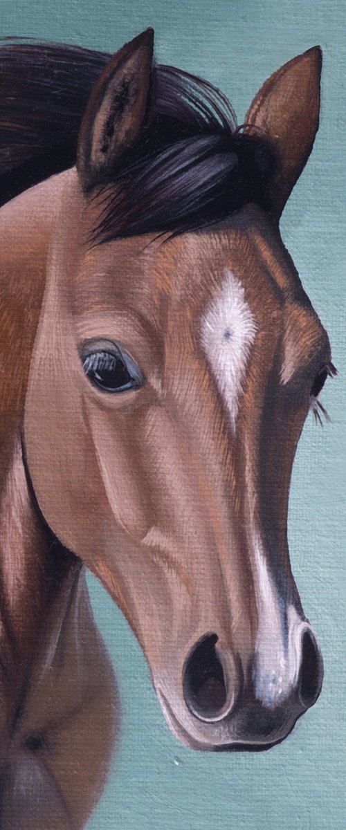 Horse Portrait 49 by Anastasia Parfilo