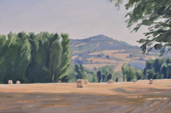 After the Harvest, Morning Light