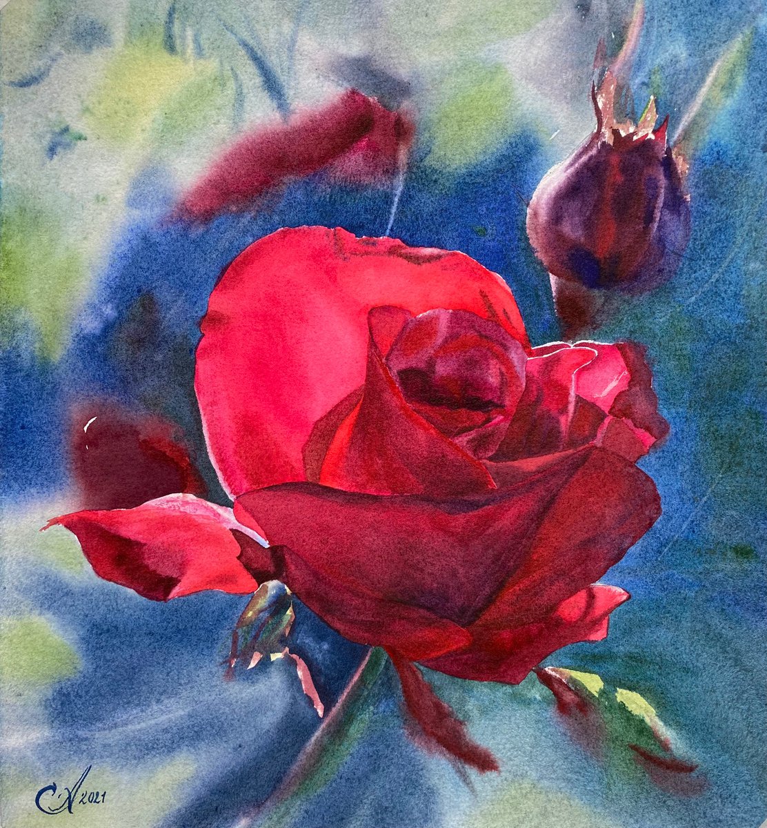 Shining Rose by Alla Semenova