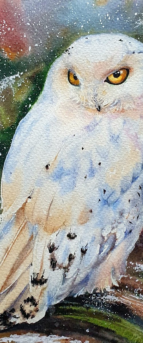 White owl (First snow in the old forest) by SoNata Art
