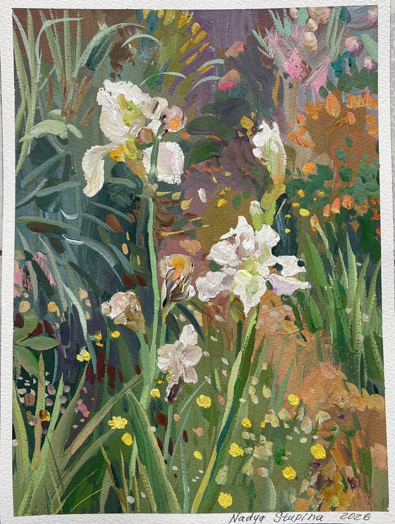 White irises in the garden