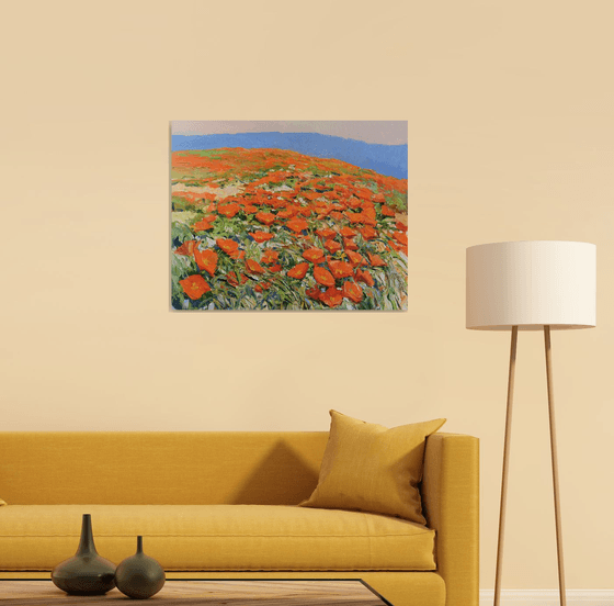 California Poppies, Superbloom