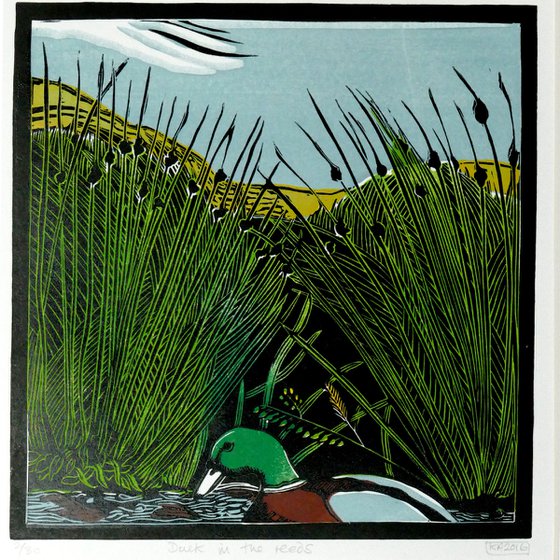 Duck in the Reeds