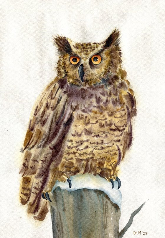 Watercolor portrait of an owl. Eagle owl. Animalism. Original watercolor.