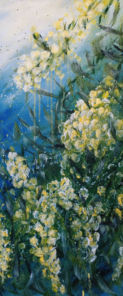 Your Heart Is My Home - Wattle Flowers by HSIN LIN