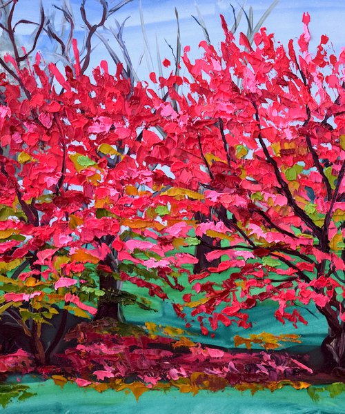 Pink Shrubs by Christina M Plichta