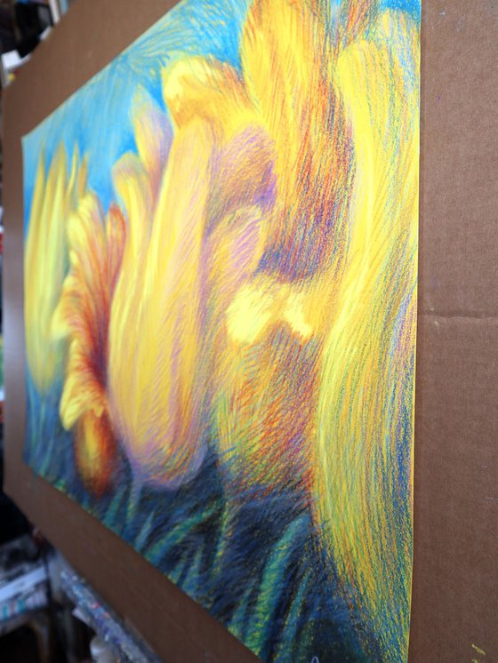 Tulips Yellow 4