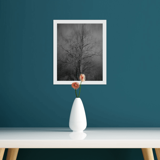 The Wind Blows II