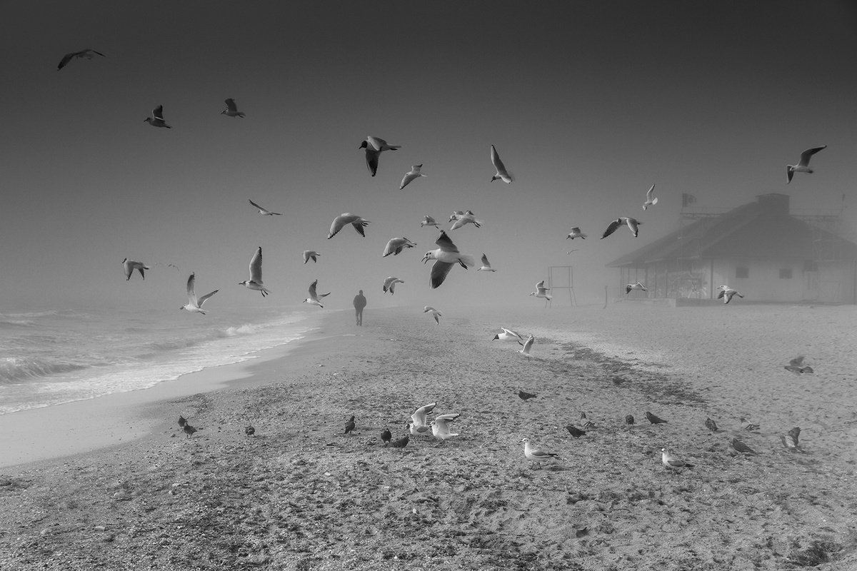 Photorealistic Landscape Photograph By Valerix, 30 X 20", On The Misty Seaside. Bw, Original Artwork
