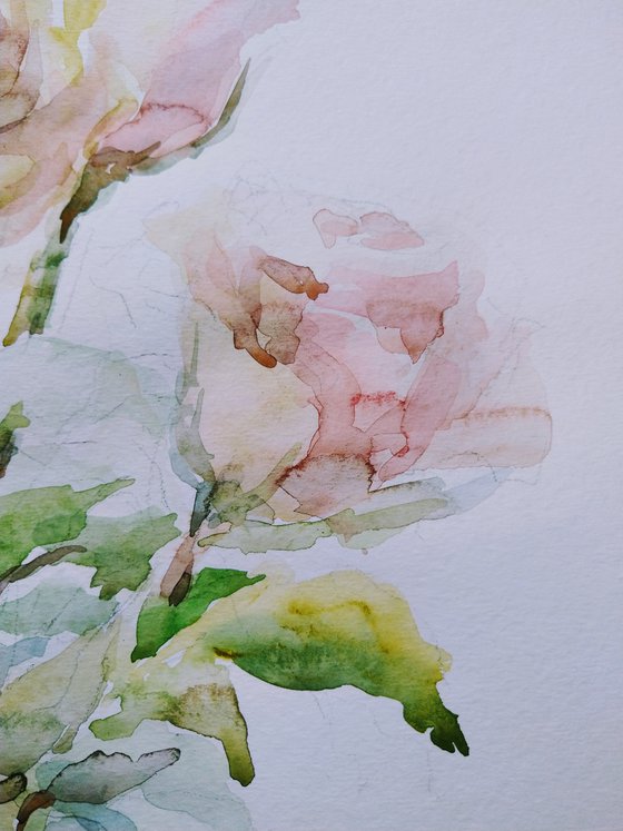 Roses. Original watercolour painting.