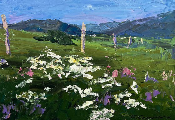 Flowering Mountain Fields