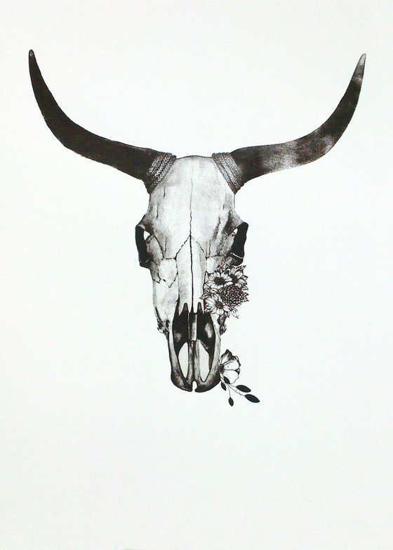 Cow Skull in Charcoal Tones