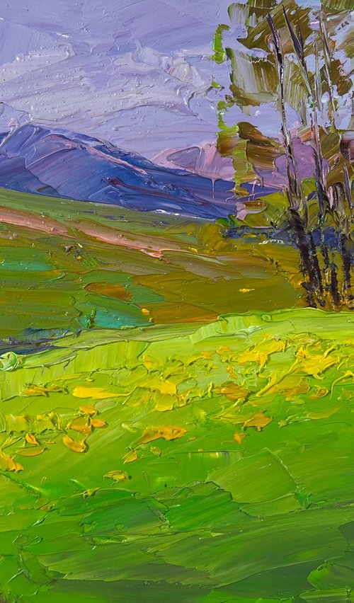 Mountain Flower Fields by Boris Serdyuk