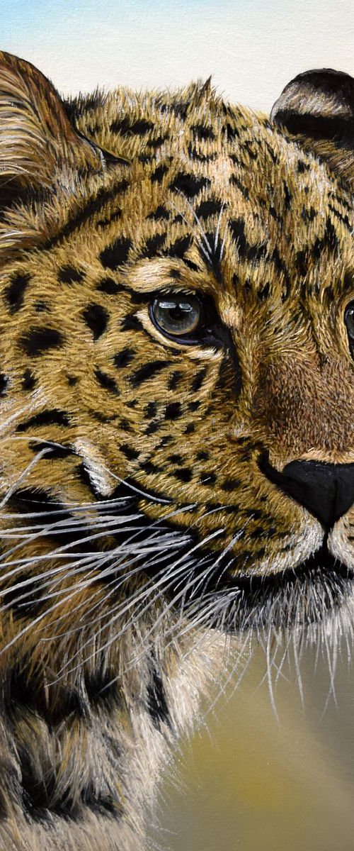 "Leopard" 40 X 30 cm(Ready to Hang) by Elena Adele Dmitrenko
