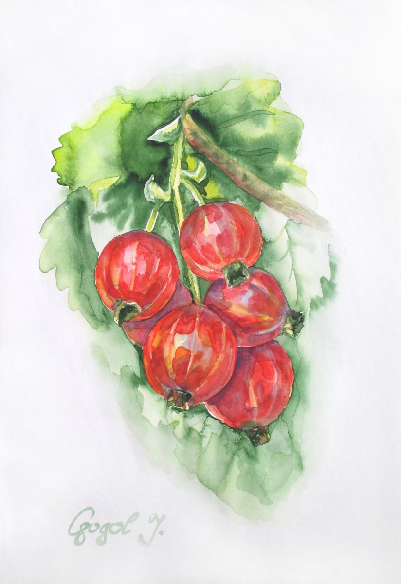Red Currant Berries by Julia Gogol