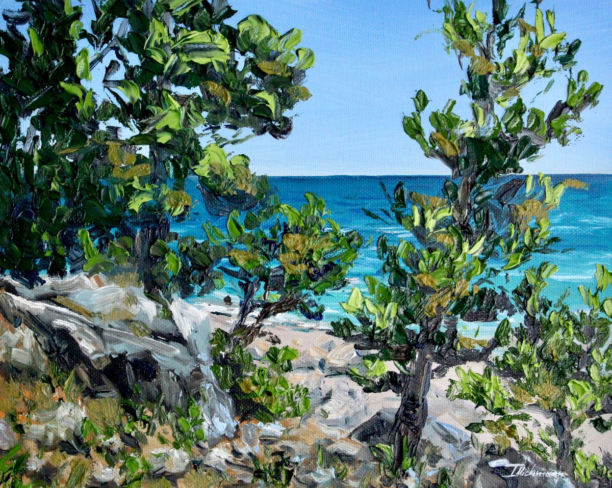 Impressionistic Landscape Oil Painting By Liza Illichmann, 12 X 9", Kemer, Original Artwork