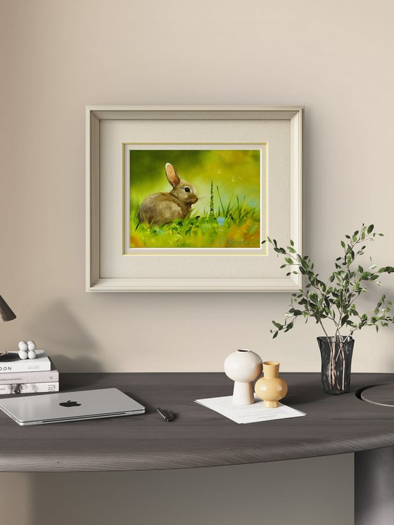 Rabbit