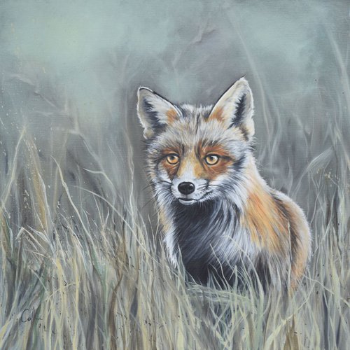 'Foxy Lady' by Nicola Colbran
