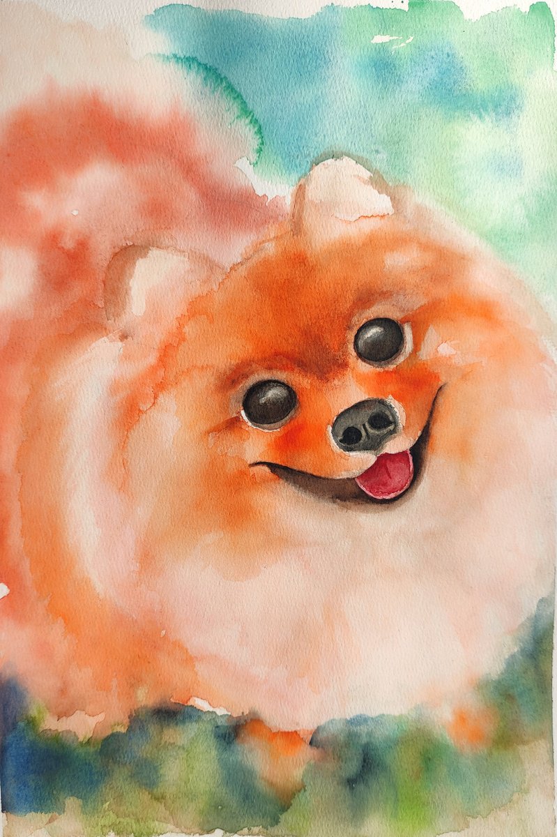 Pomeranian by Yulia Berseneva