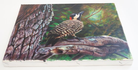 Woodpecker in the Forest