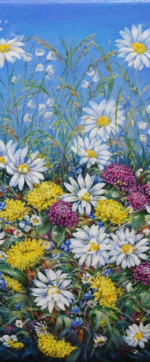 Daisies and Wildflowers. by Anastasia Woron