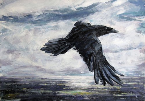 Raven, Birkrigg, Cumbria by John Sharp