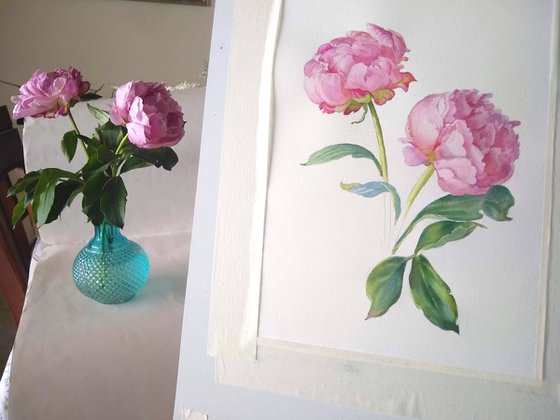 Three peonies