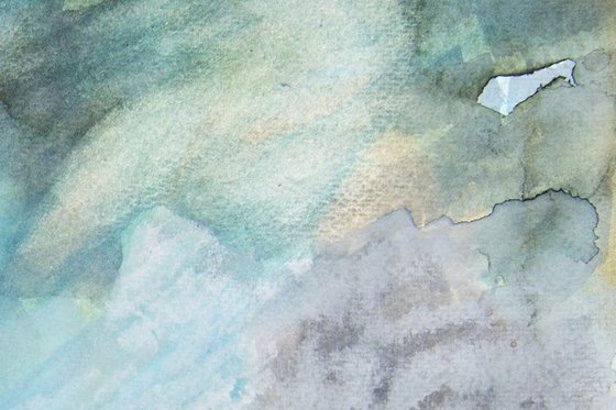 Salt Marshes