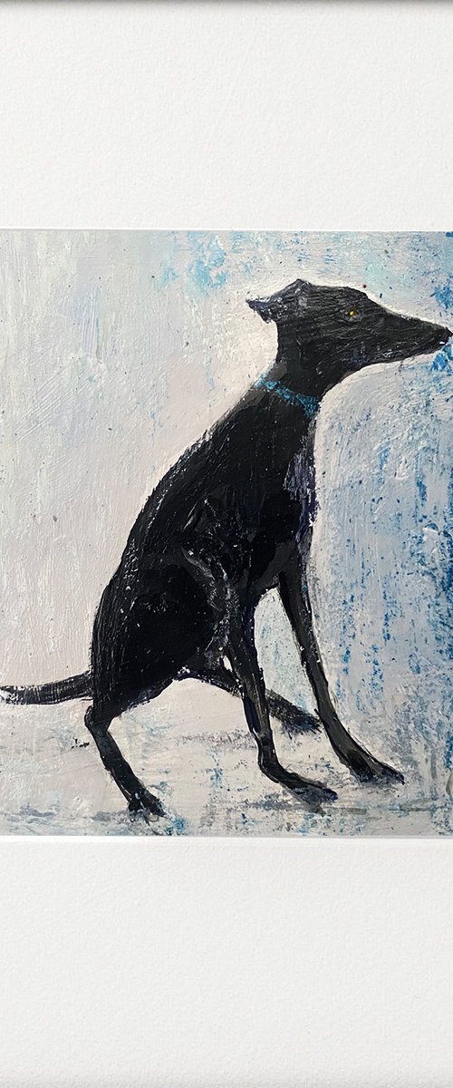 Seated Lurcher dog rain & puddles by Teresa Tanner