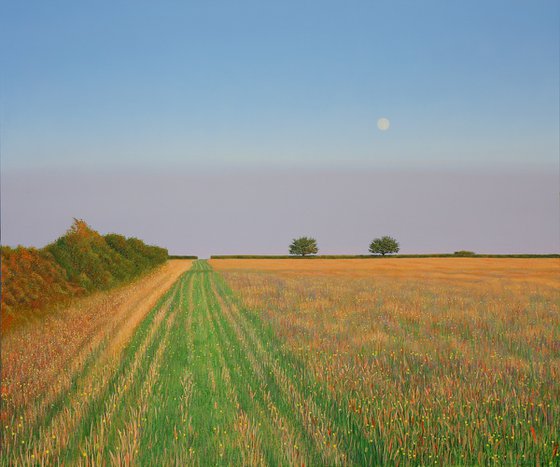 Moon over Brynhoffnant