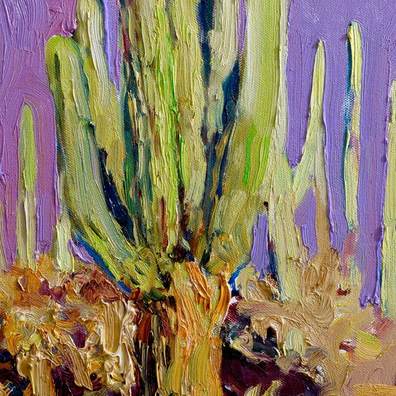 Saguaro. Desert Evening