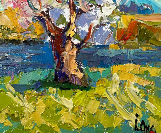 Early spring morning