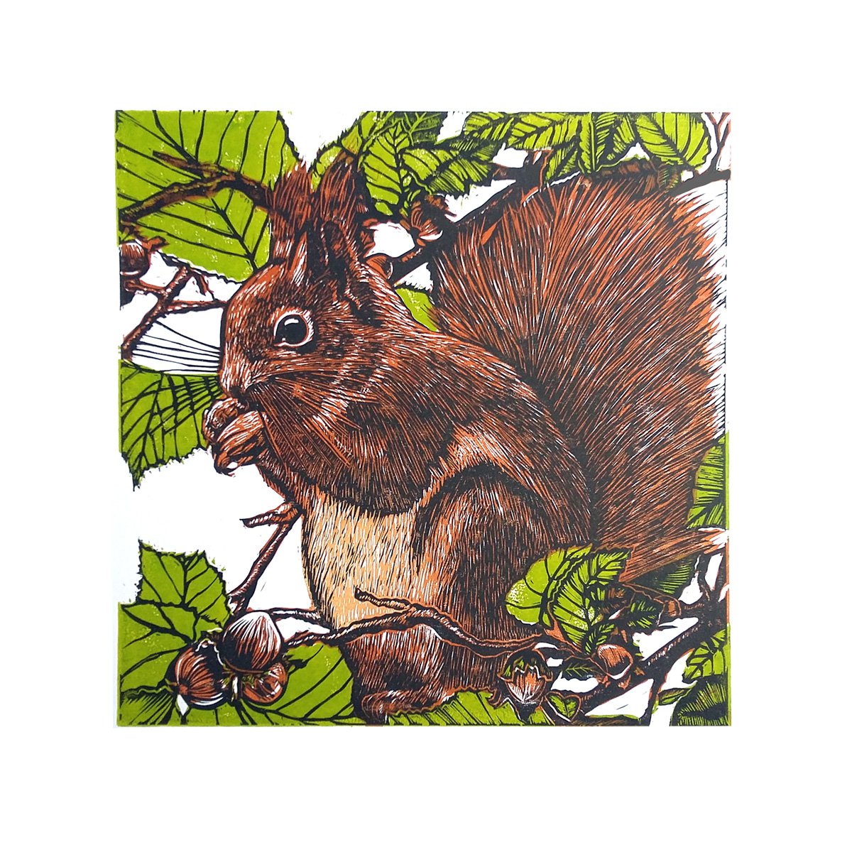 Natures feast (linocut red squirrel) by Carolynne Coulson