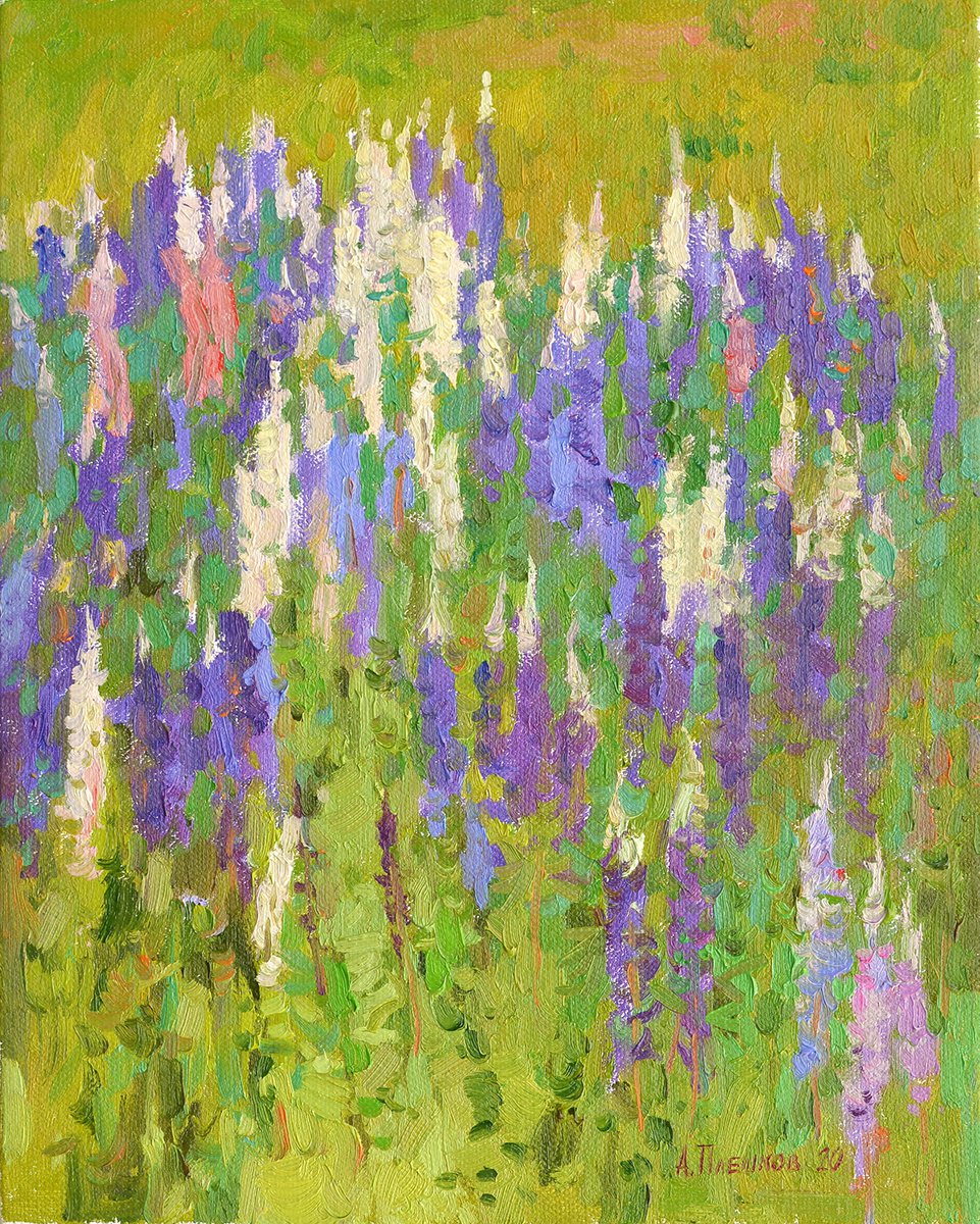 Lupins by Alexey Pleshkov