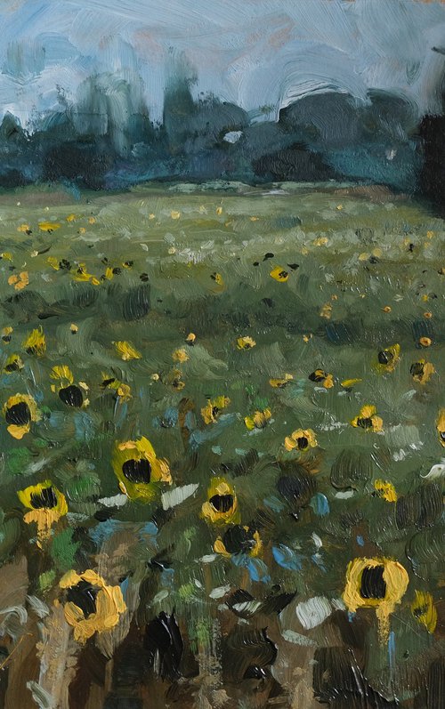 In the sunflower field by Kerry Lisa Davies