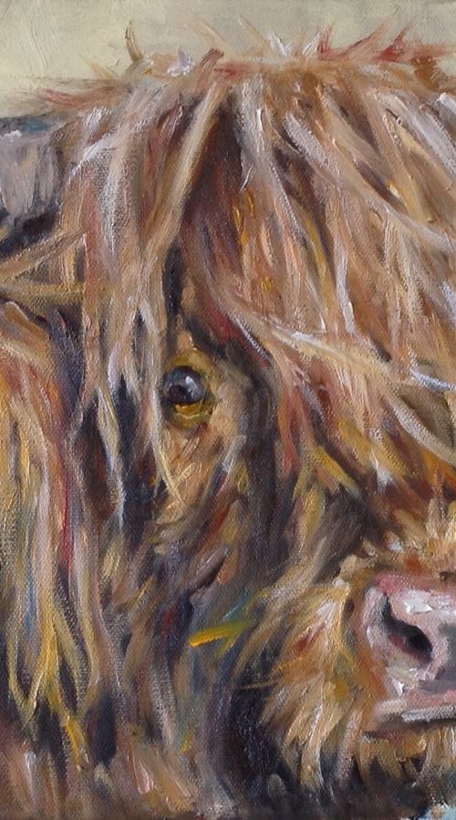 Hairy Cow by Louise Brown
