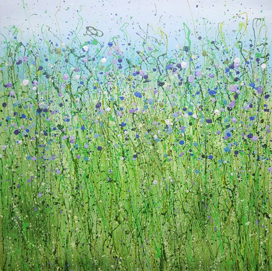 Wild Bluebell Meadows