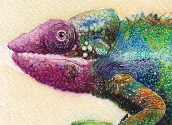 Chameleon II