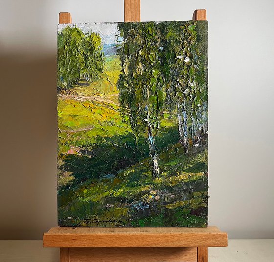 Sunny Day in the Birch Forest