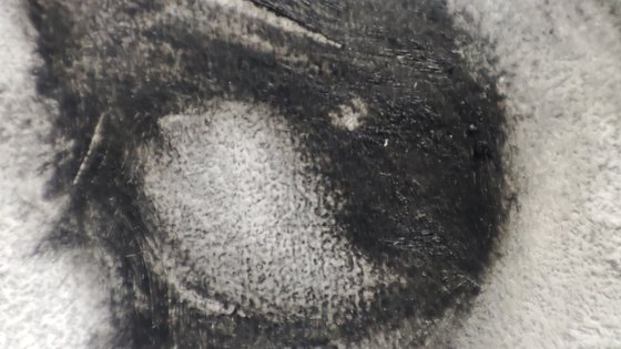 Black and White_3