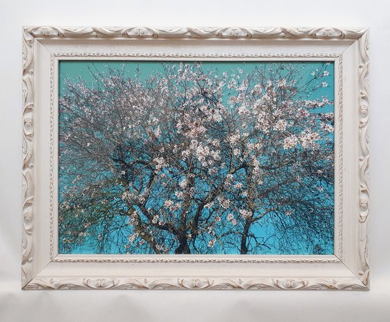 The Almond Tree (Framed)