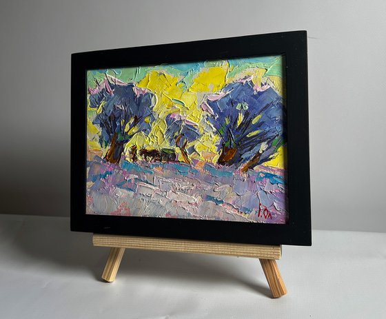 Winter morning in the field