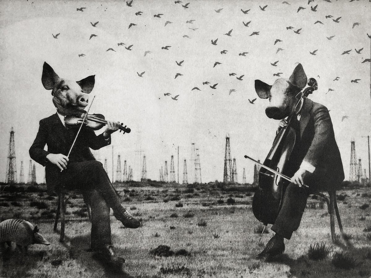 Surrealistic Portrait Etchings & Engravings By Jaco Putker, 13 X 10, Casting Pearls Before Swine, Original Artwork