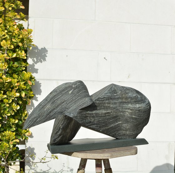 "Particular Insight"