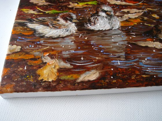 Sparrows Painting Oil Birds