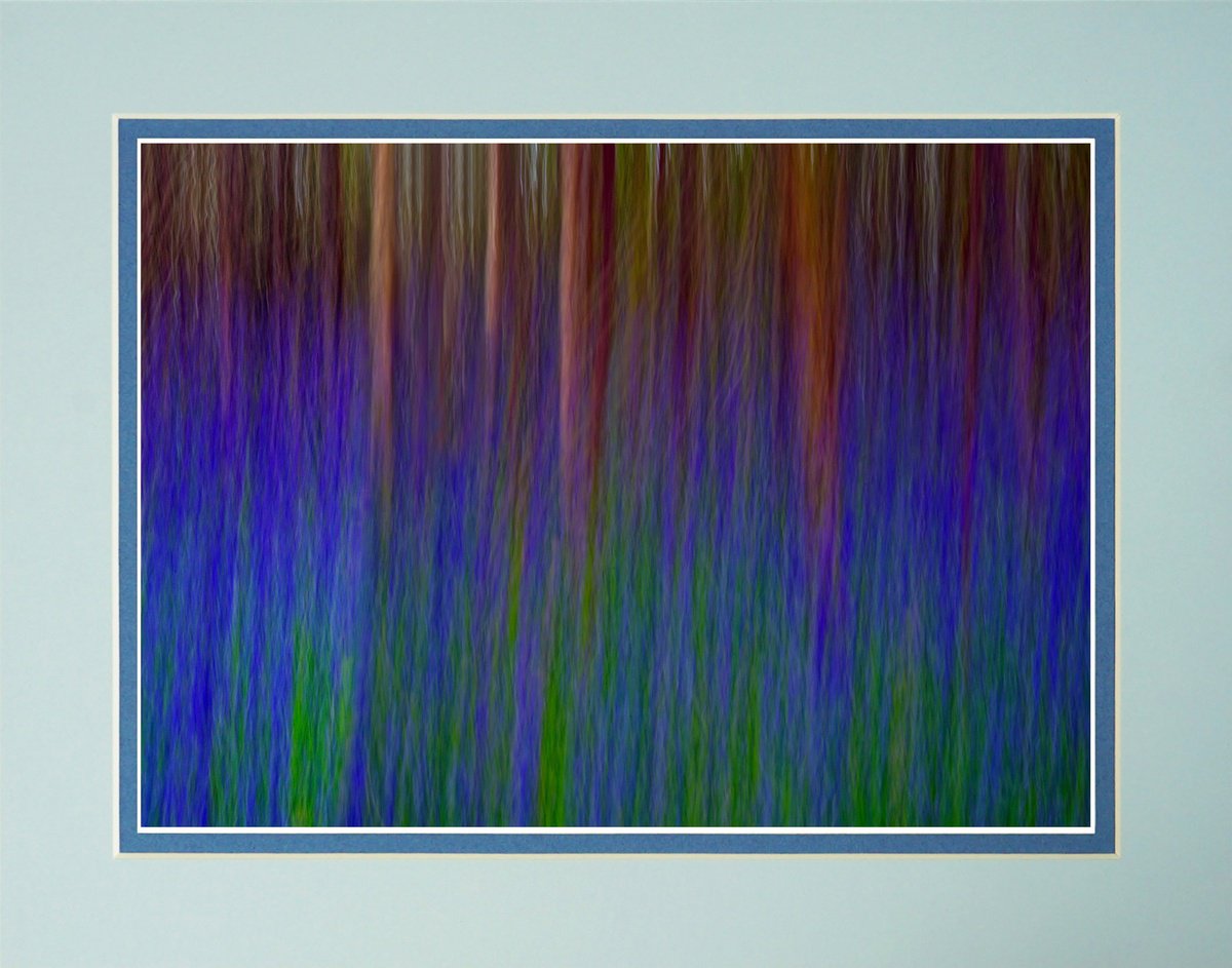 Impressionistic Abstract Photograph By Robin Clarke, 14 X 11", Bluebell Forest Icm, Original Artwork