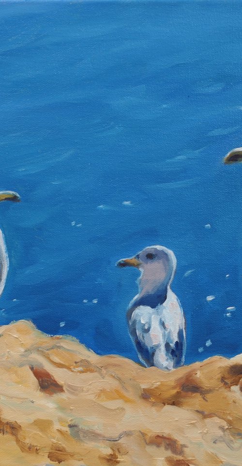 Seagulls by Alfia Koral